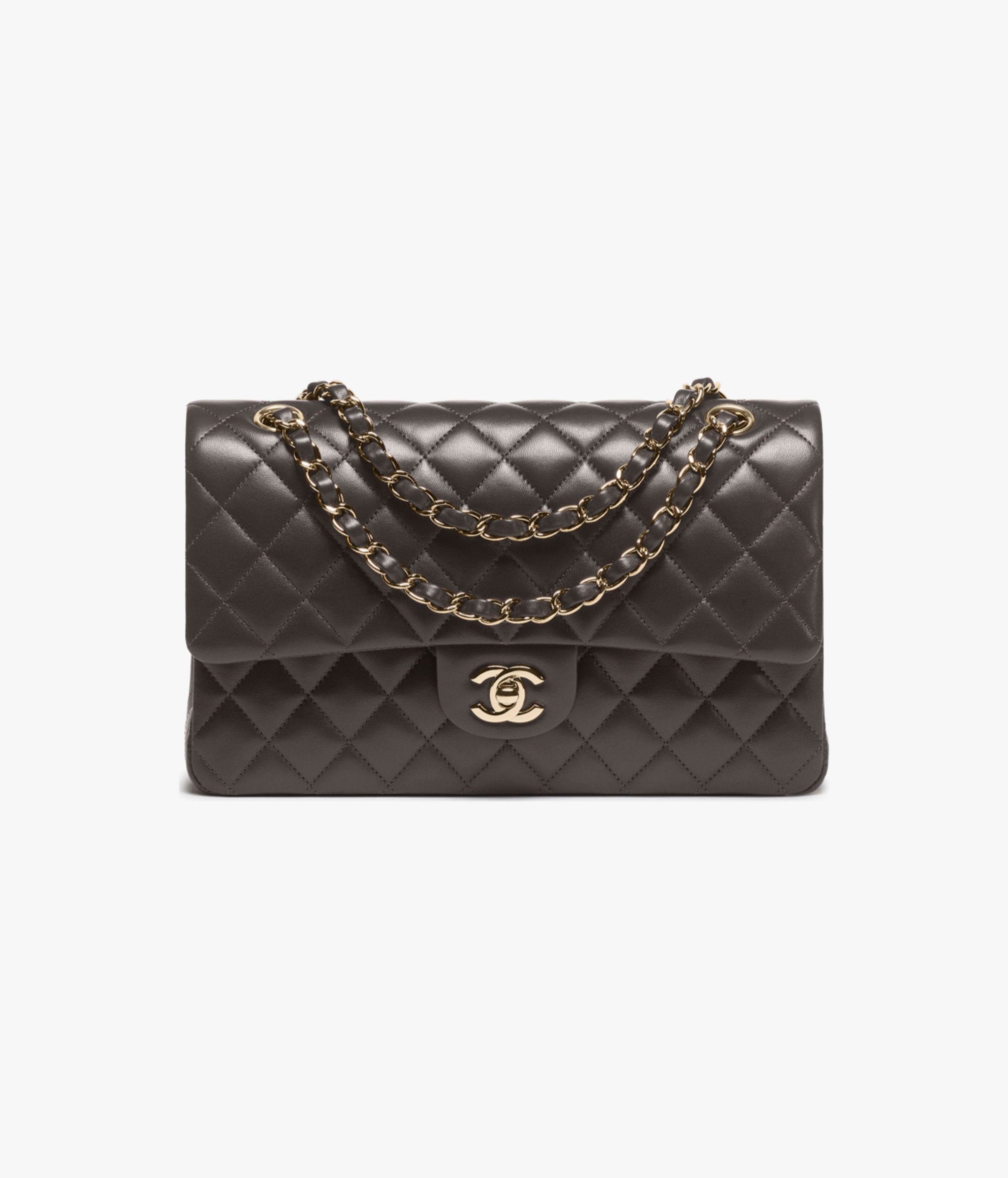 Coco Chanel Purse